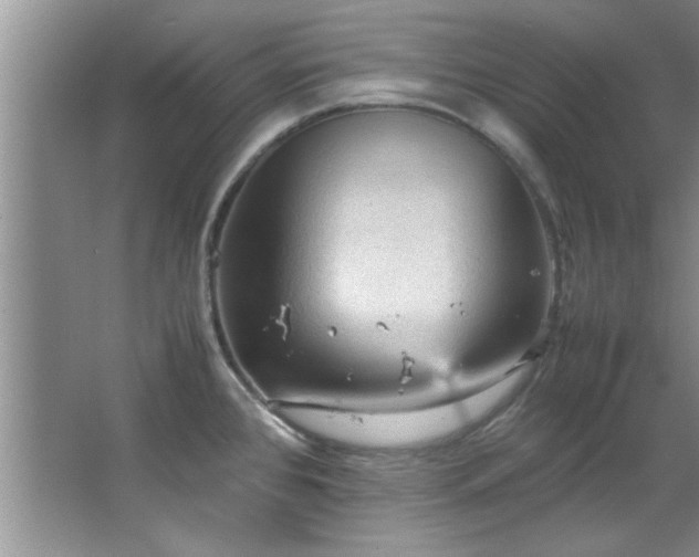 X0000066941384200603241131