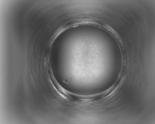 X0000066941385200603241131