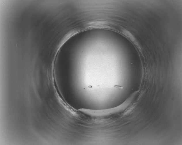 X0000066941386200603241131