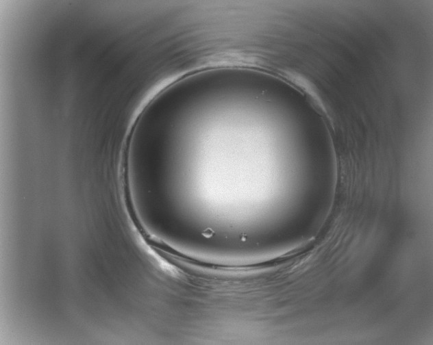 X0000066941387200603241131