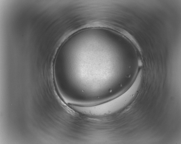 X0000066941388200603241131