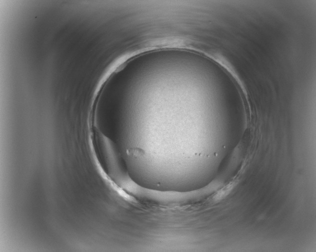 X0000066941389200603241131