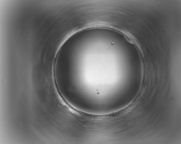 X0000066941390200603241131