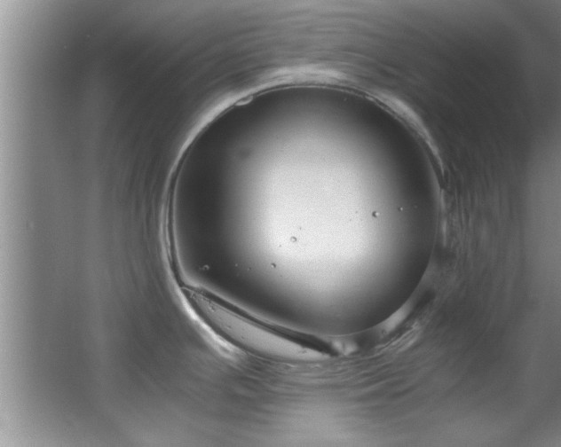 X0000066941391200603241131