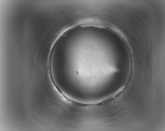 X0000066941392200603241131