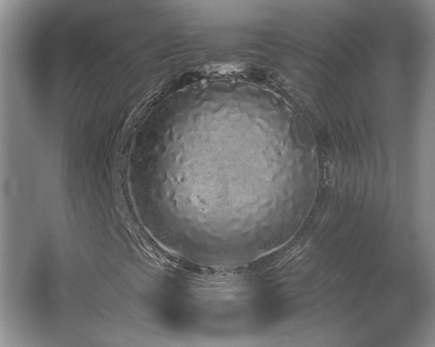 X0000066941393200603241130