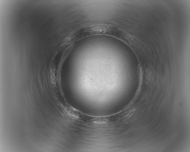 X0000066941394200603241130