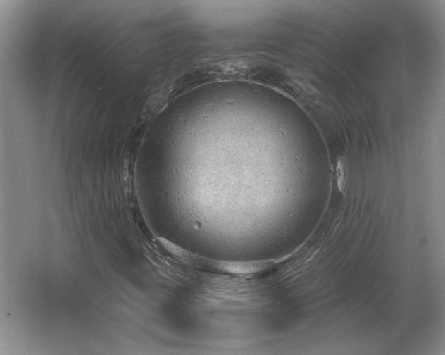 X0000066941395200603241130