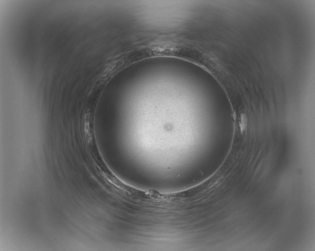 X0000066941396200603241130