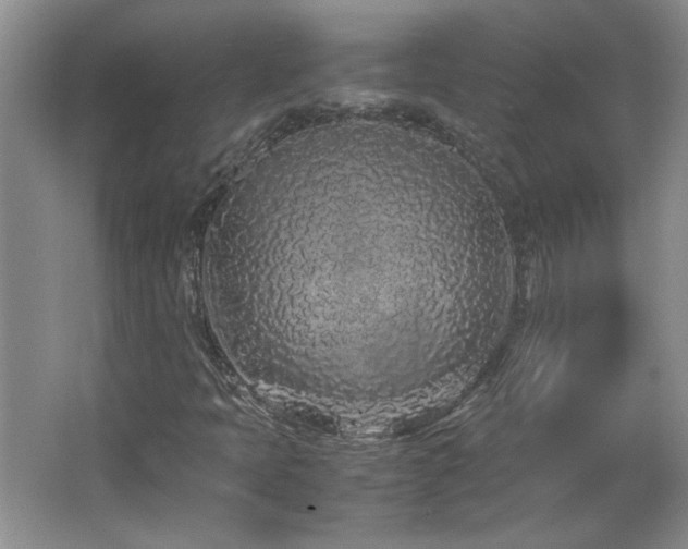 X0000066941397200603241130