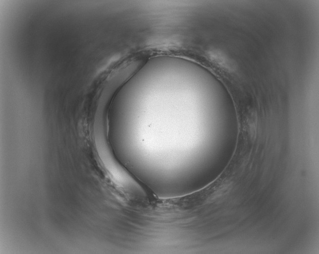 X0000066941398200603241130