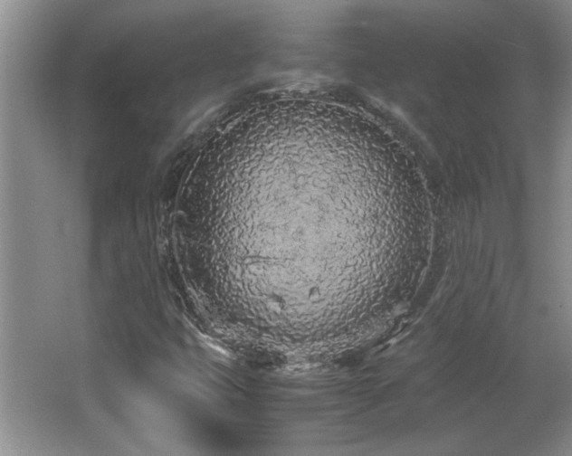 X0000066941399200603241130