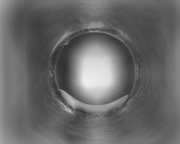 X0000066941400200603241130