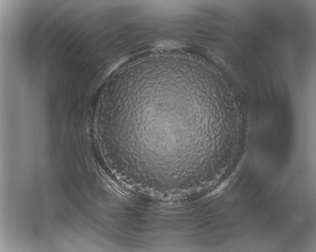 X0000066941401200603241130