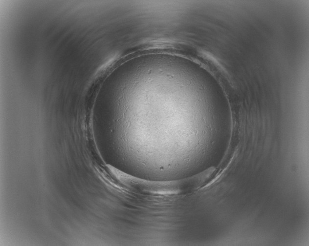 X0000066941403200603241130