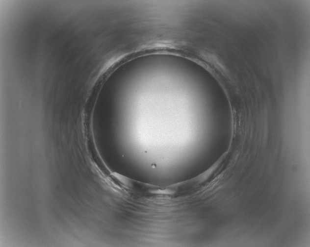 X0000066941404200603241130