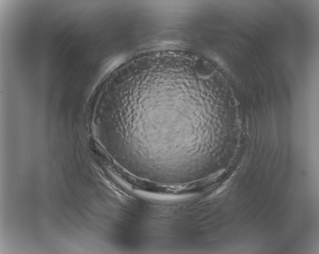 X0000066941405200603241130