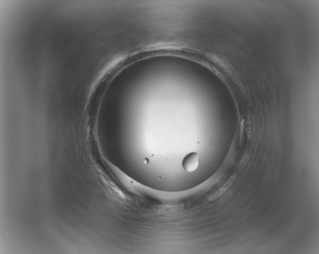 X0000066941406200603241130