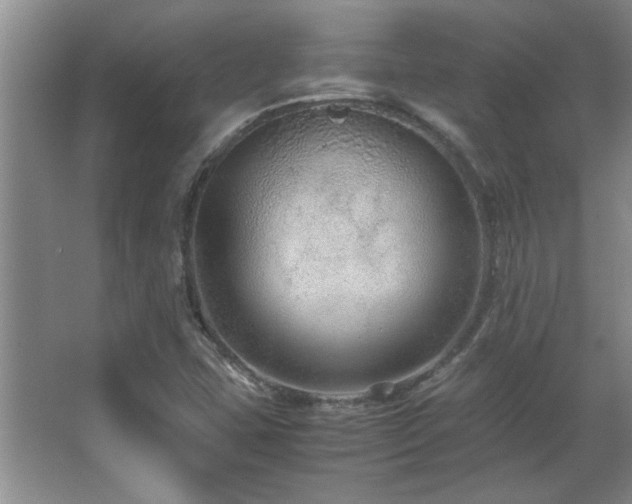 X0000066941407200603241130