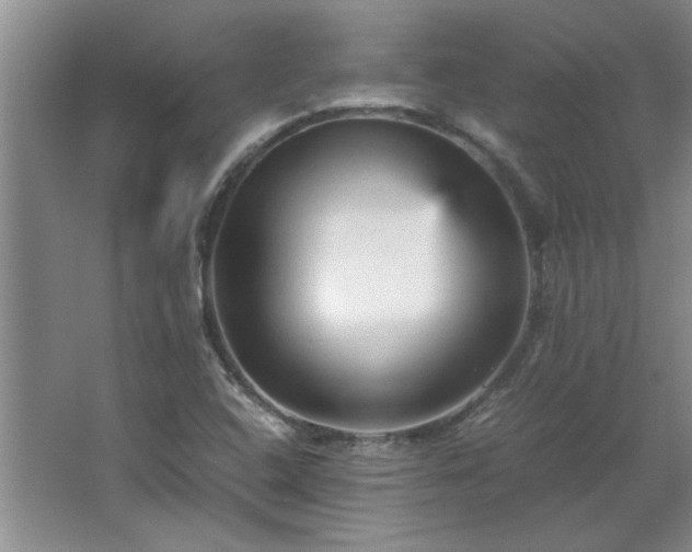 X0000066941408200603241130