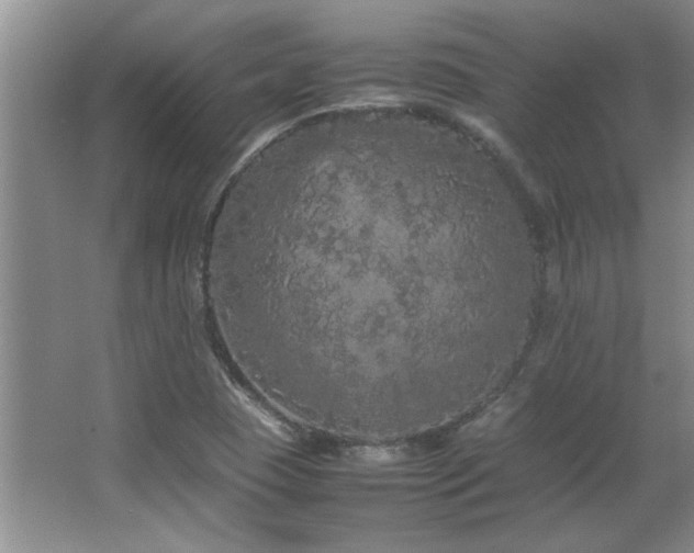 X0000066941409200603241130