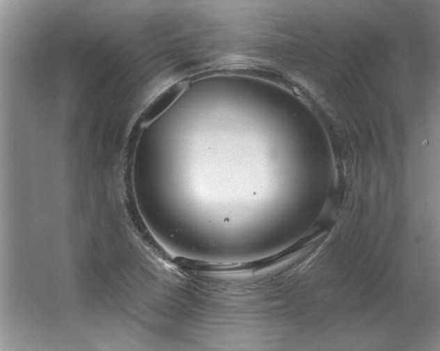 X0000066941410200603241130