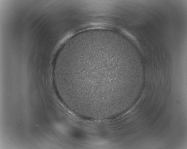 X0000066941411200603241130