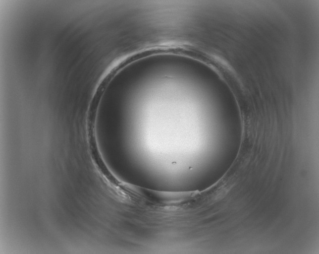 X0000066941412200603241130