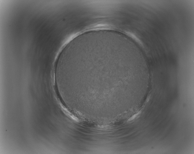 X0000066941413200603241130