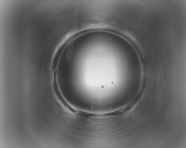 X0000066941414200603241130