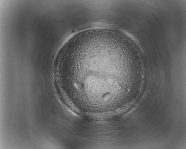 X0000066941415200603241130