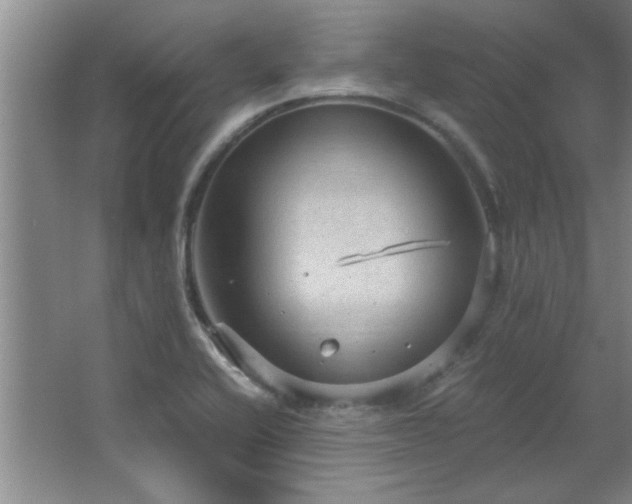 X0000066941416200603241130