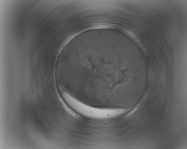 X0000066941417200603241130