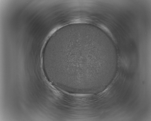 X0000066941419200603241130