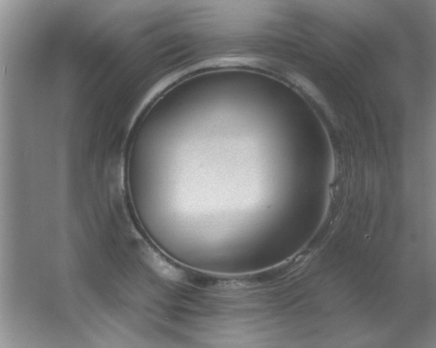 X0000066941420200603241130