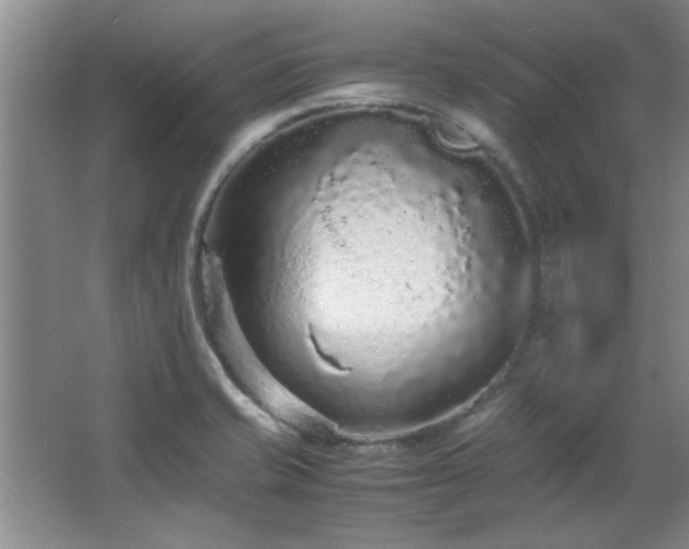 X0000066941421200603241130