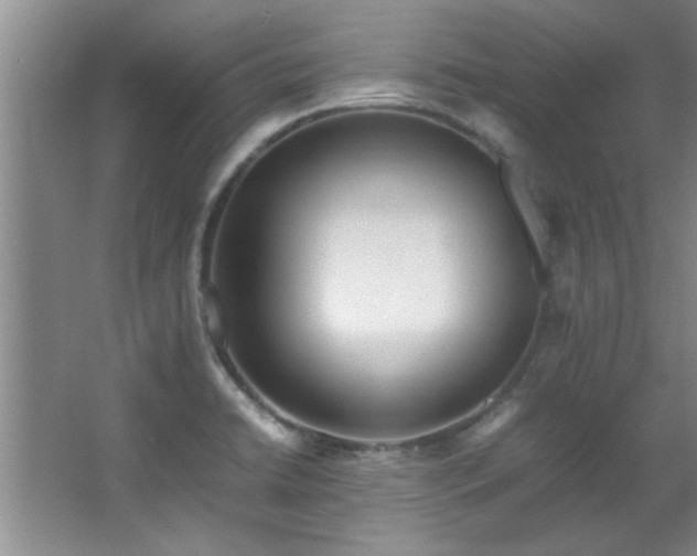 X0000066941422200603241130