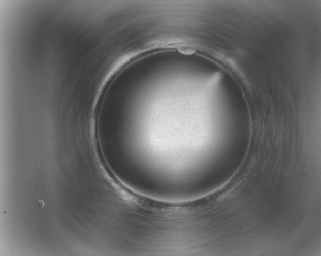 X0000066941424200603241130