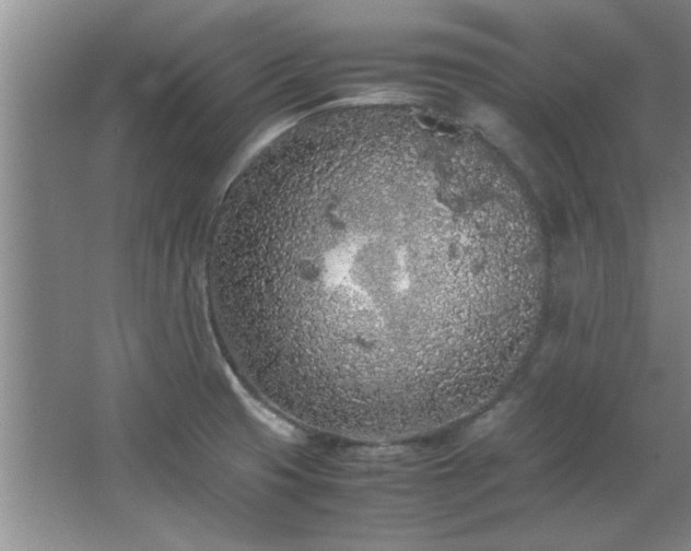 X0000066941425200603241130