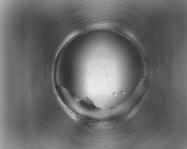 X0000066941426200603241130