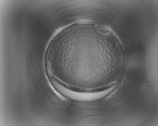 X0000066941429200603241130