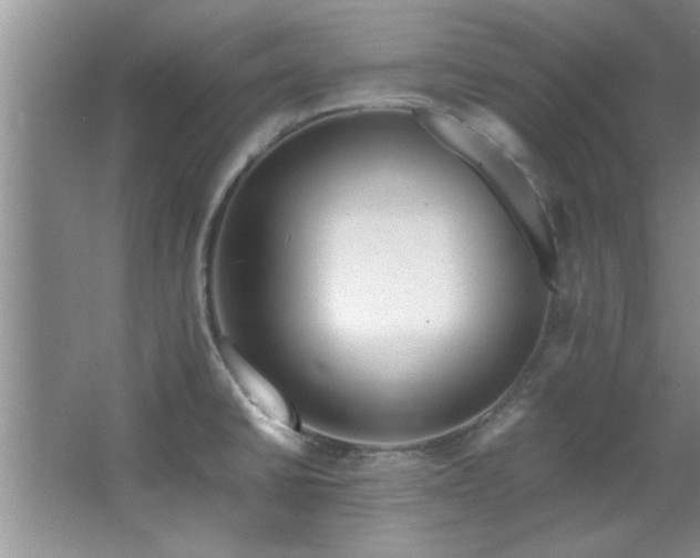 X0000066941430200603241130