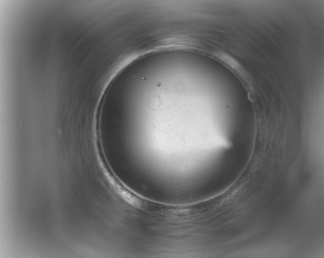 X0000066941431200603241130