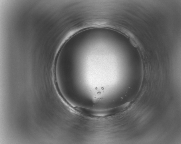 X0000066941432200603241130