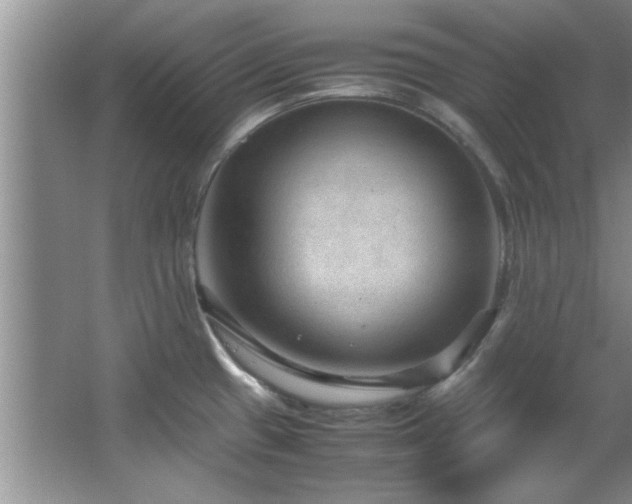 X0000066941433200603241130