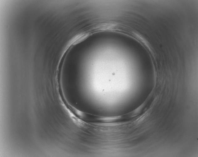 X0000066941434200603241130