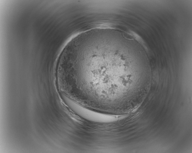 X0000066941435200603241130