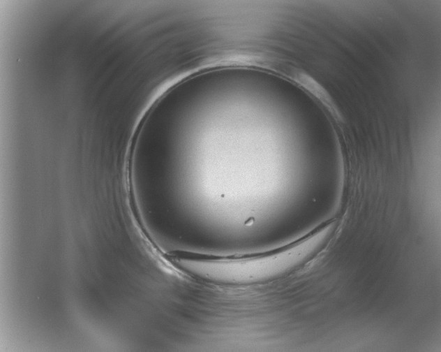 X0000066941436200603241130