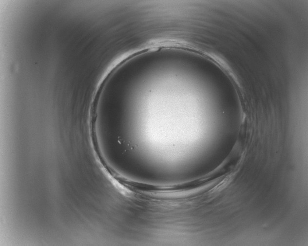 X0000066941438200603241130