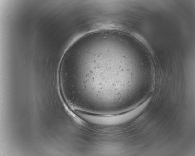 X0000066941439200603241130